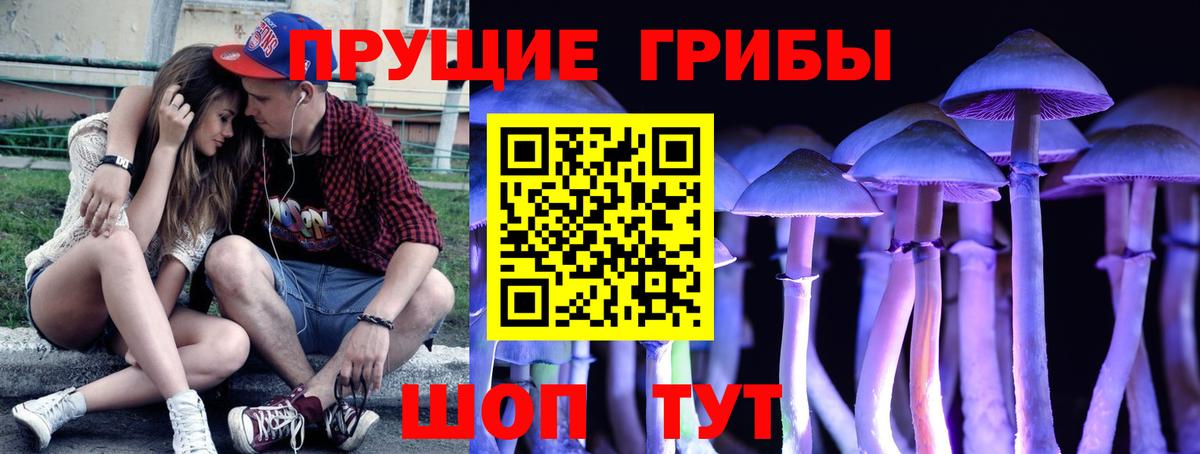 Галлюциногенные грибы мухоморы Железногорск