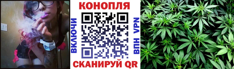 Бошки марихуана марихуана  hydra маркетплейс  Железногорск 